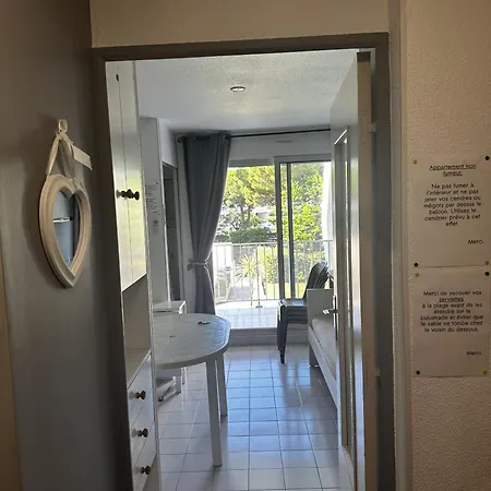 Pour 4, Piscine Et Parking N75 Apartment